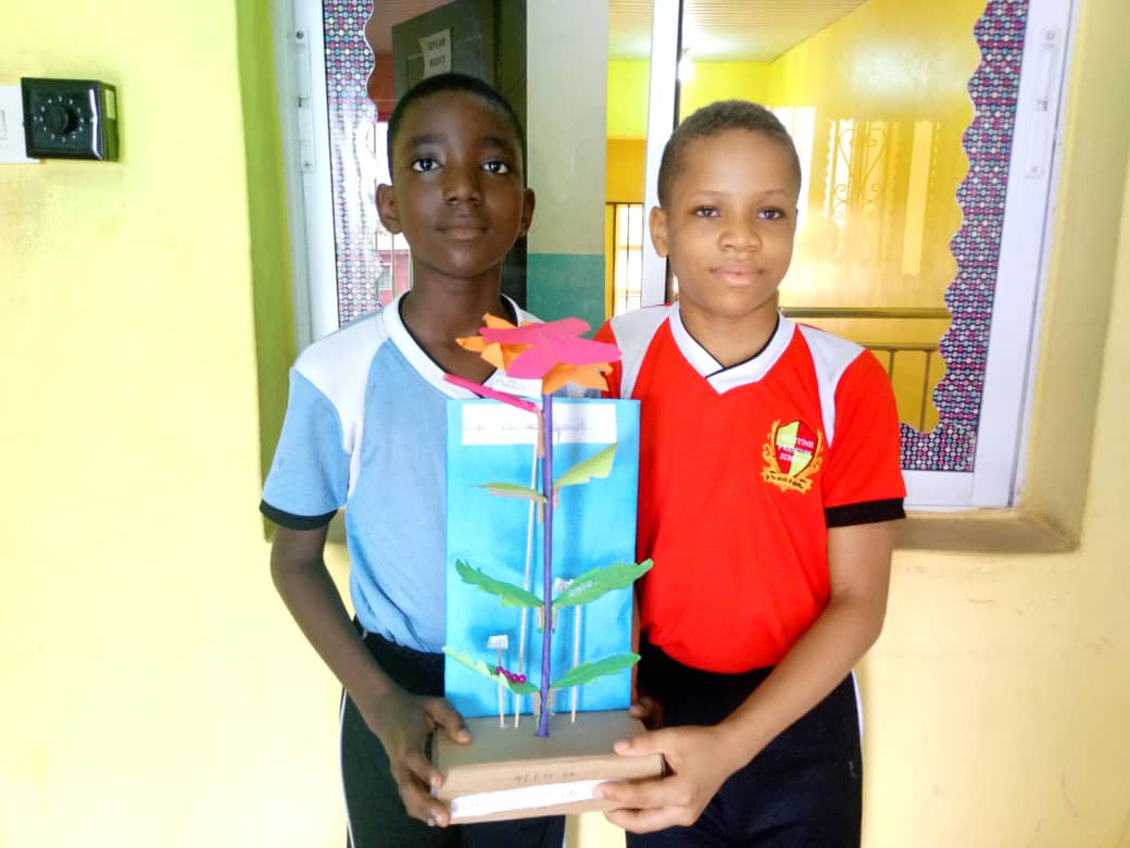 <p>LIFE CYCLE OF A BUTTERFLY</p>